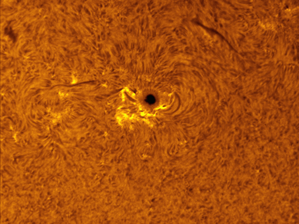 Sunspots 1305 in h-alpha 10/02/2011