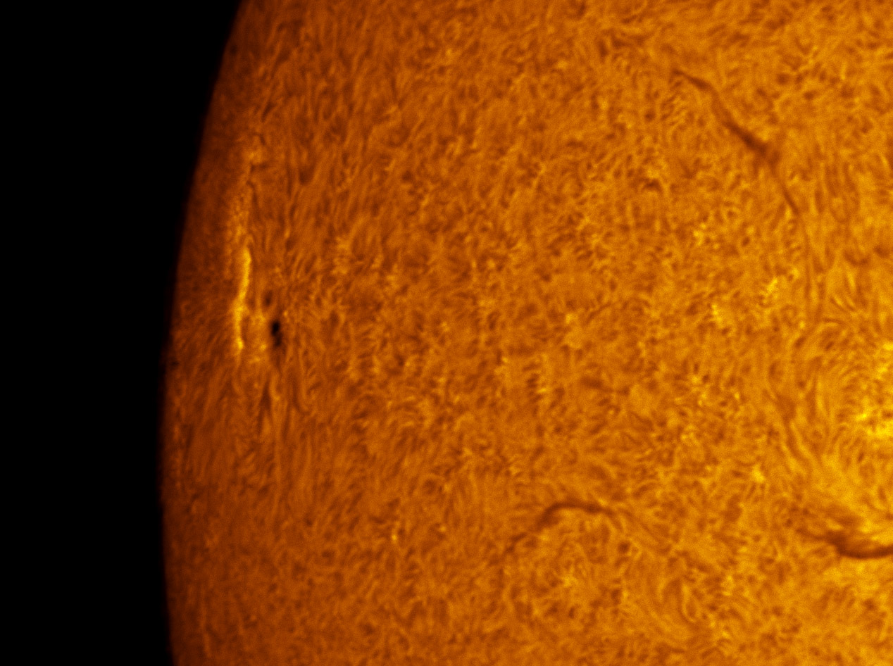 Sunspot 1309 in h-alpha 10/02/2011