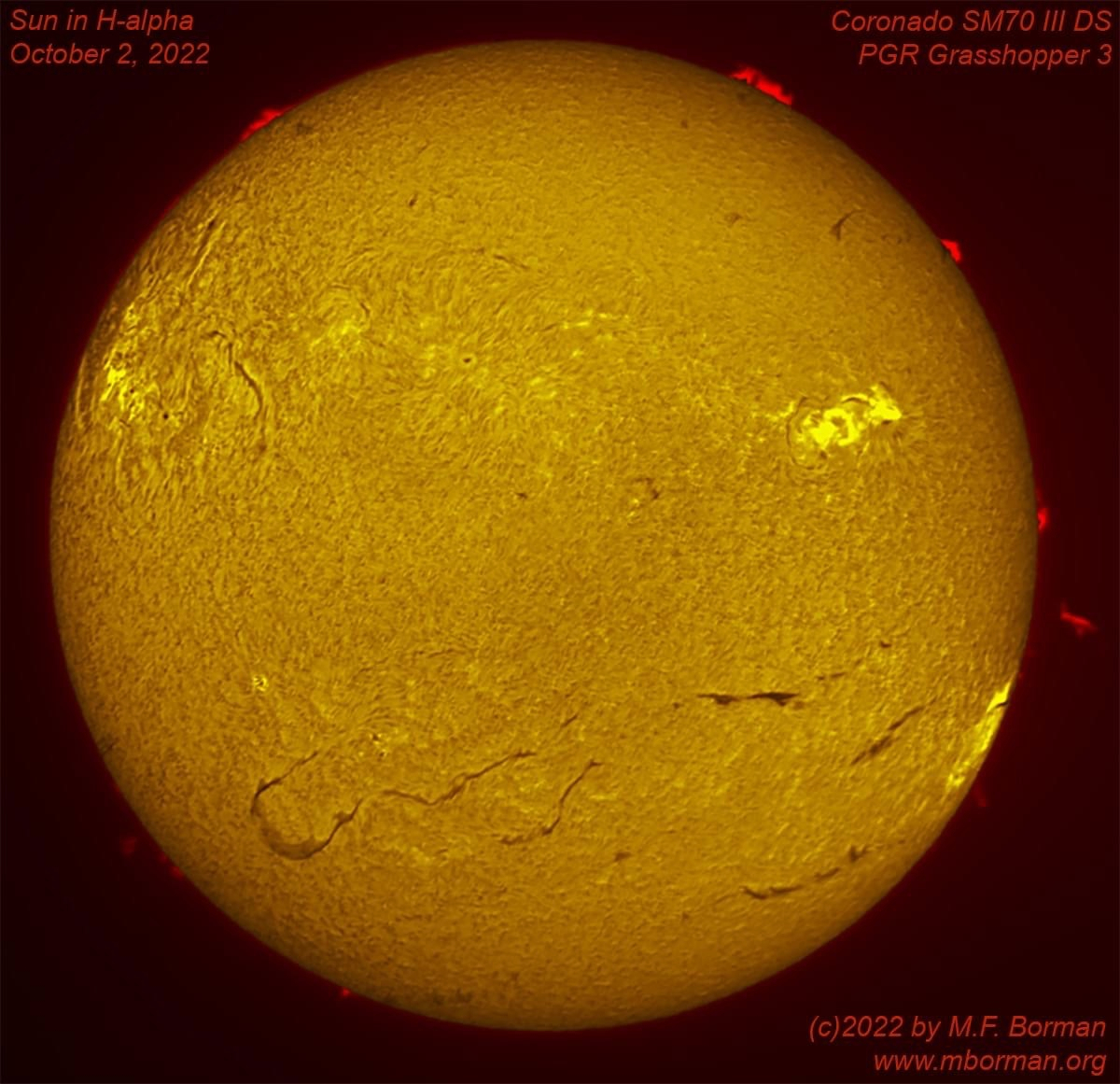 Solar disk in h-alpha 10/02/2022