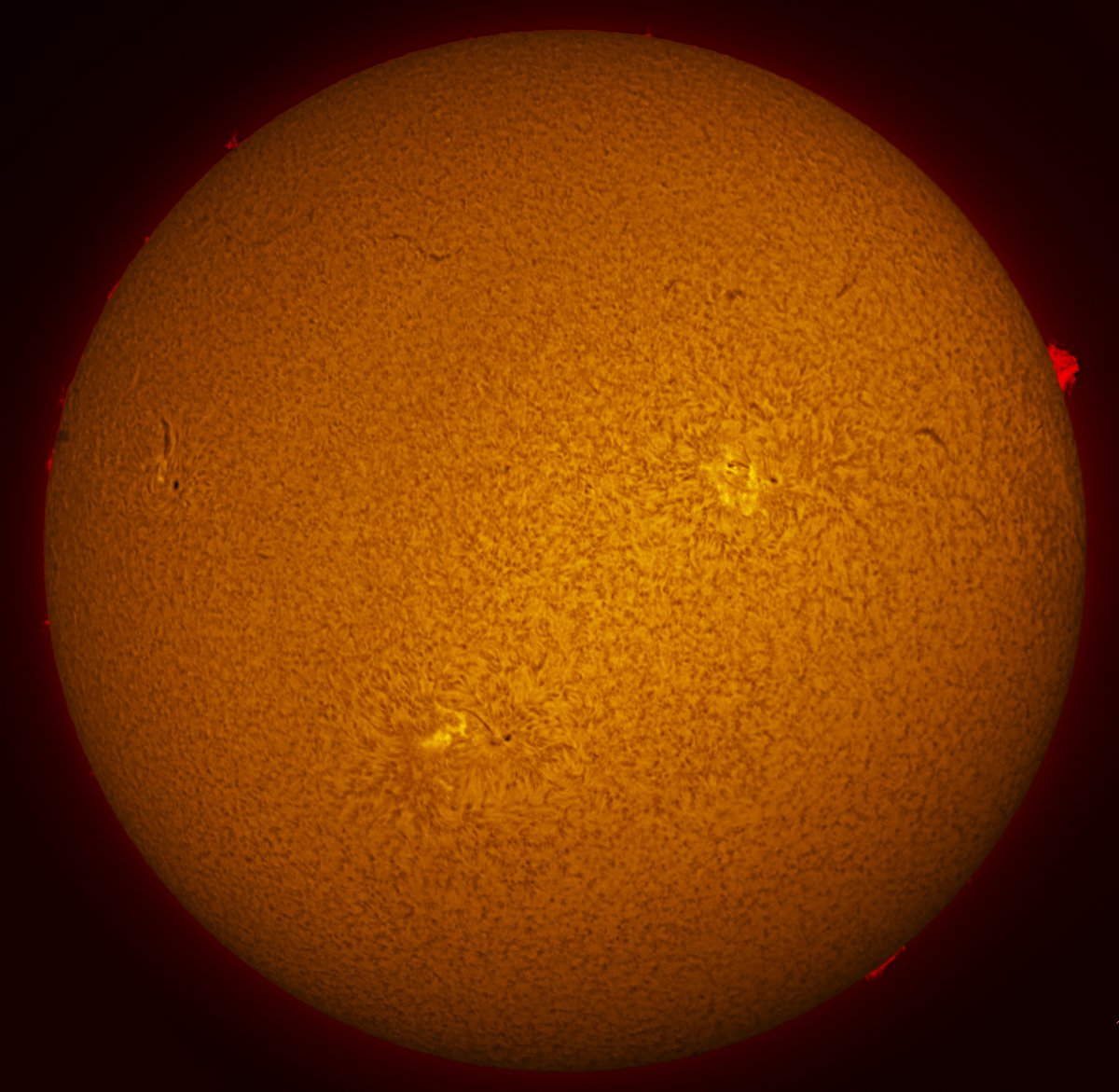 Solar Disk in h-alpha 10/08/2016