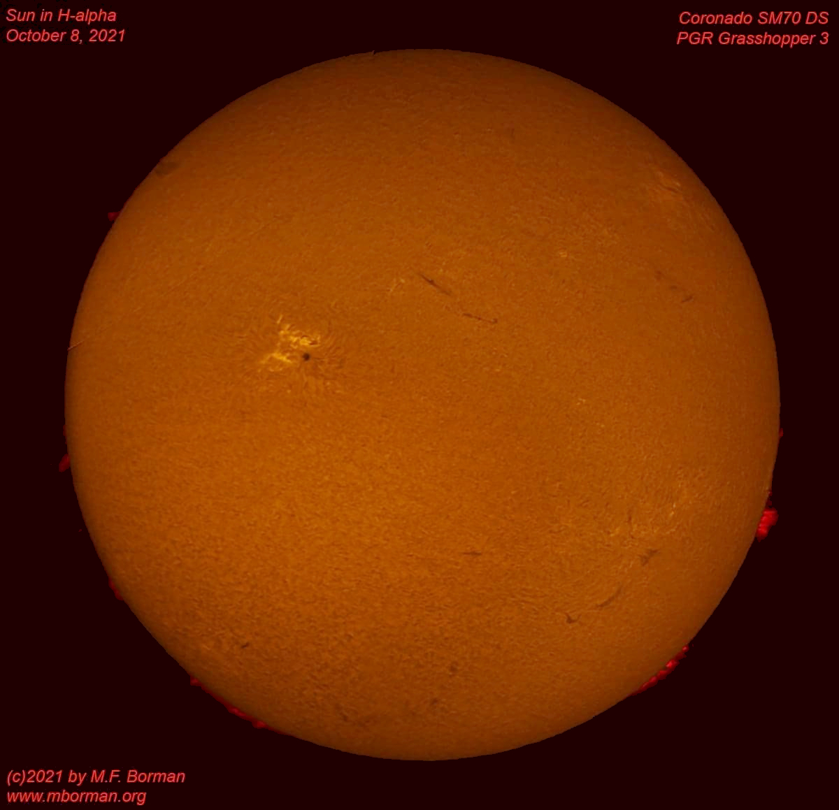 Solar disk in h-alpha 10/08/2021