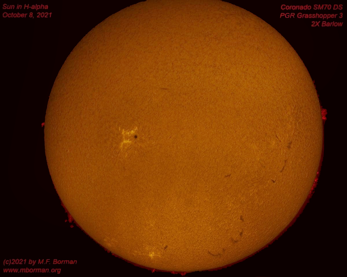 Solar disk in h-alpha 10/08/2021