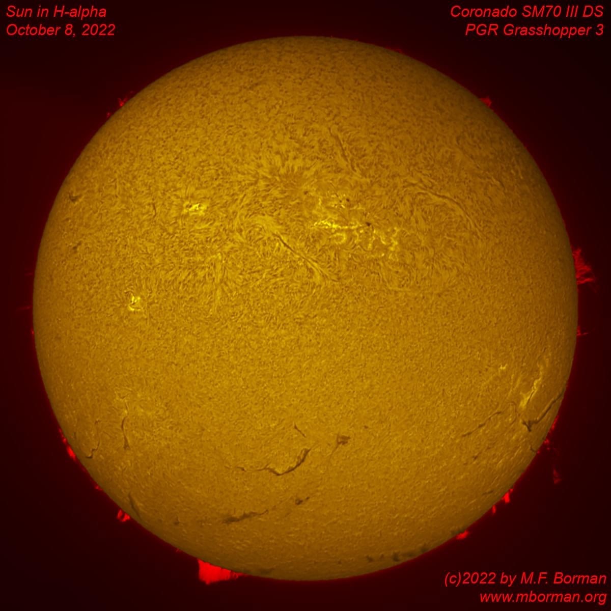 Solar disk in h-alpha 10/08/2022