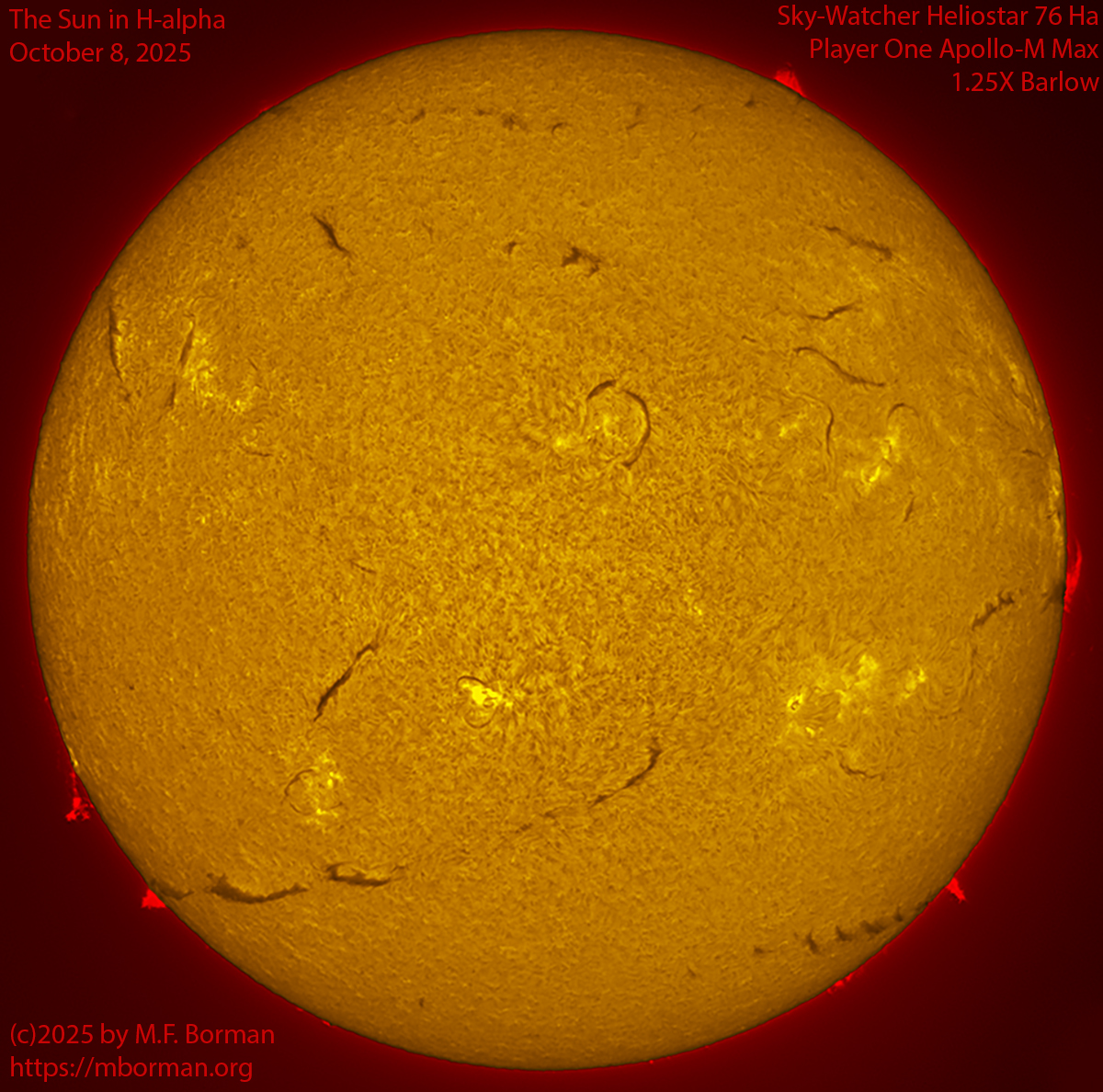 Solar image in h-alpha 10/08/25