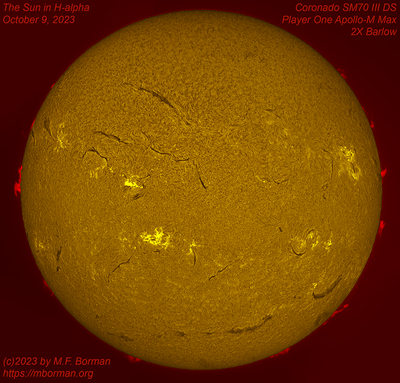 Solar disk in h-alpha 10/09/2023