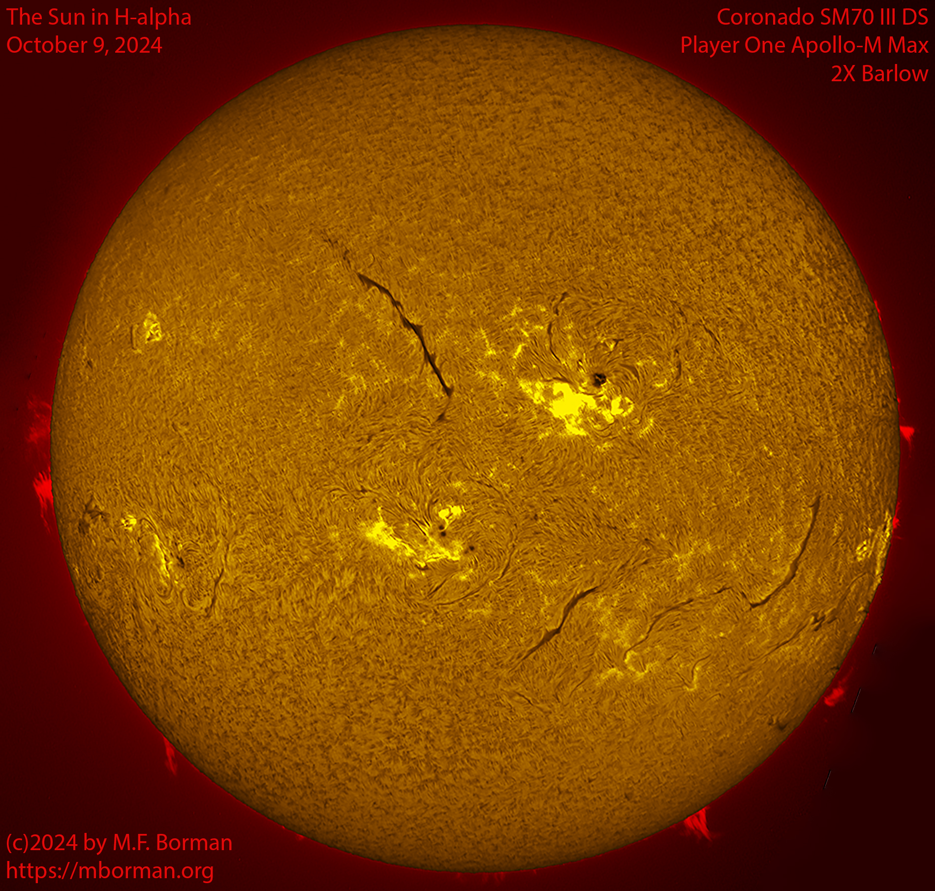 Solar image in h-alpha 10/09/24