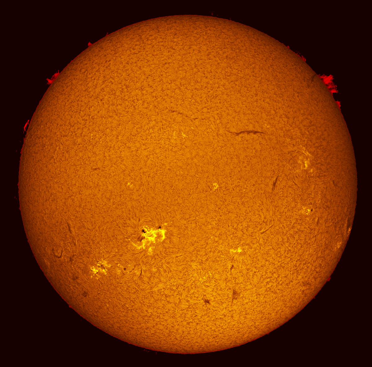 Solar Disk in h-alpha 10/11/2013