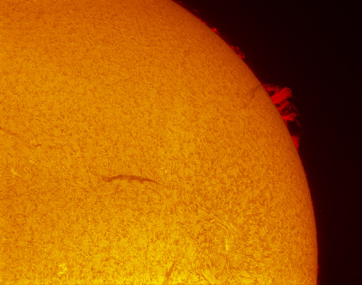Solar prominences in h-alpha 10/11/2013