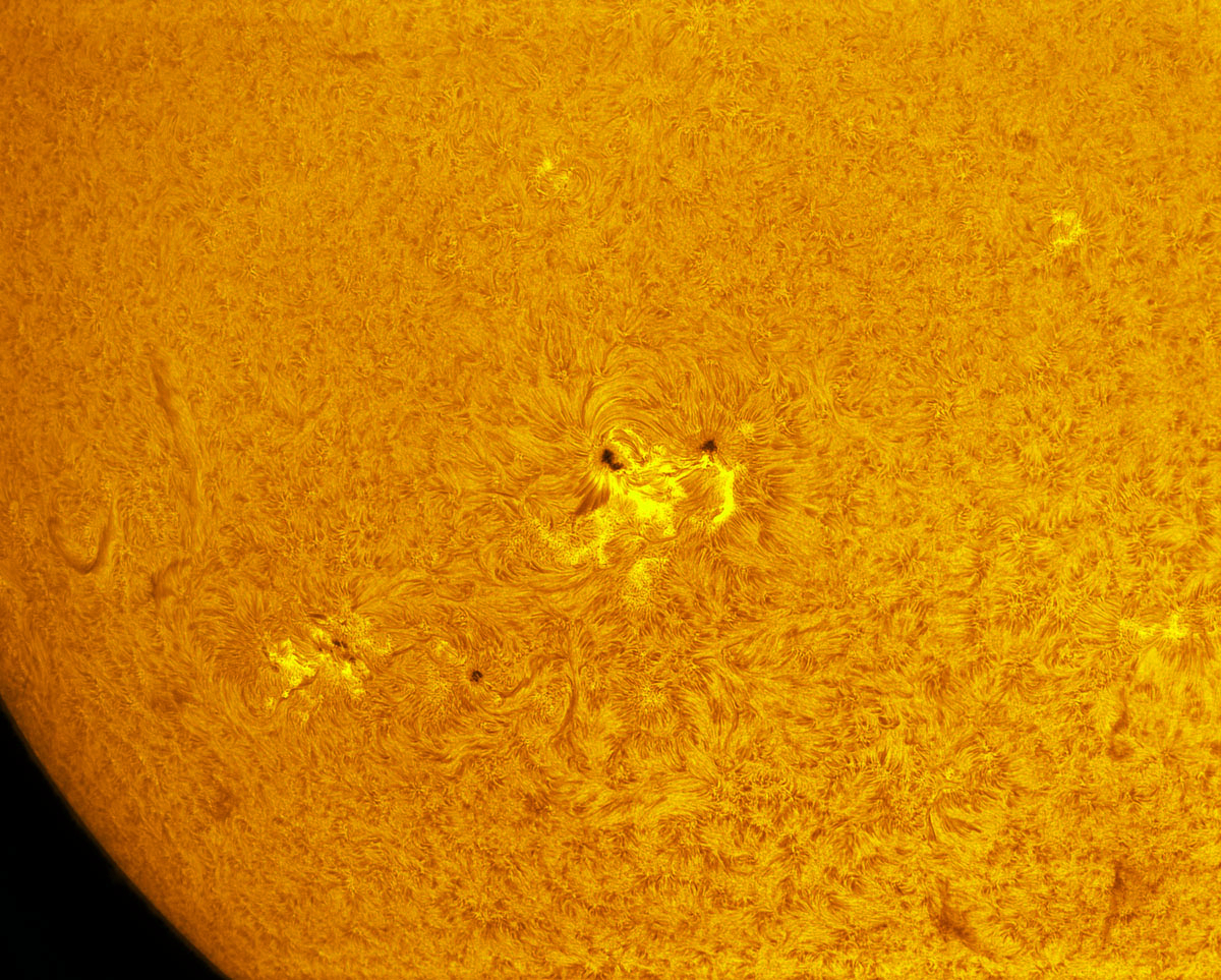 Sunspots 1861, 1864, and 1865 in h-alpha 10/11/2013