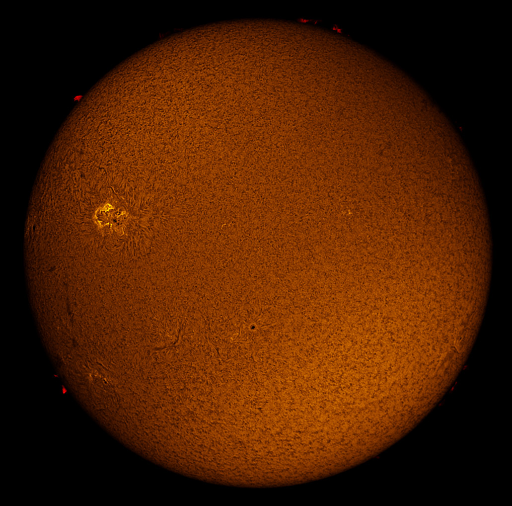 Solar Disk in h-alpha 10/12/2012 with DMK51AU02.AS camera
