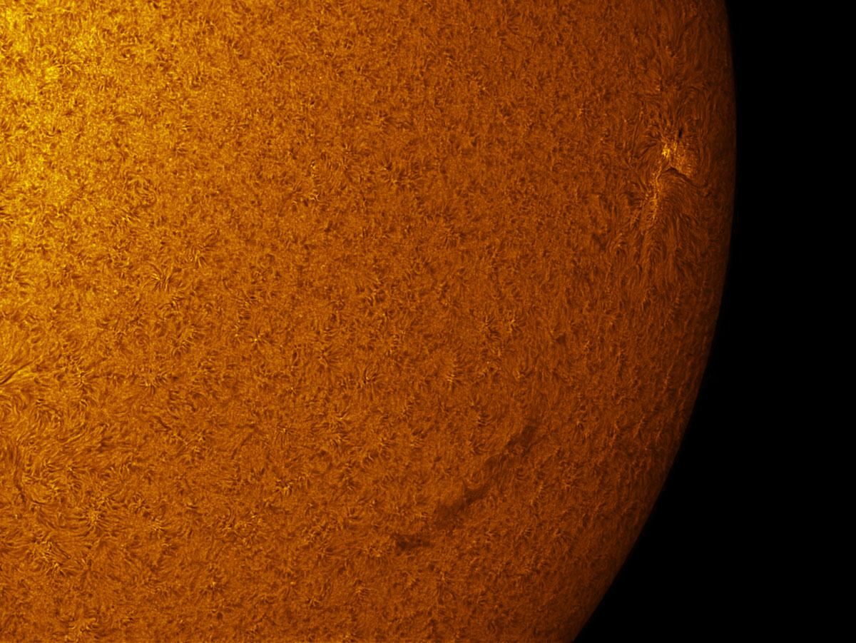 Sunspot 1585 in h-alpha 10/12/2012