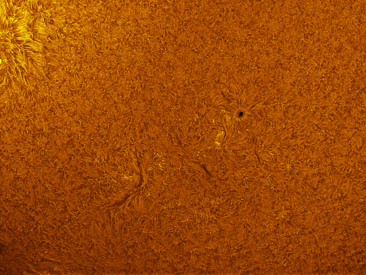 Sunspot 1586 in h-alpha 10/12/2012