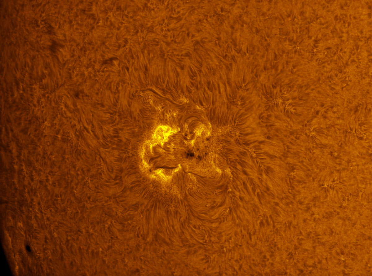 Sunspots 1589 in h-alpha 10/12/2012