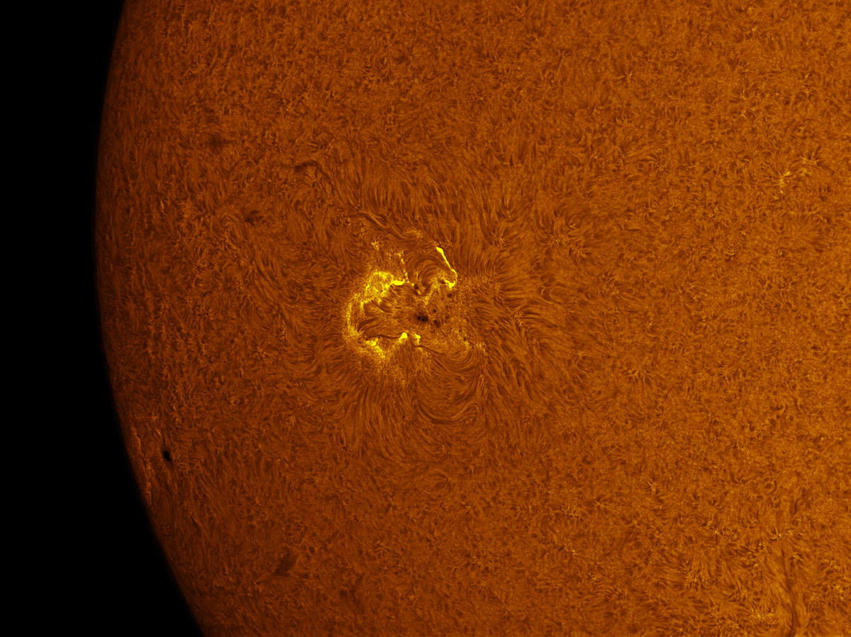 Sunspot 1589 in h-alpha 10/12/2012