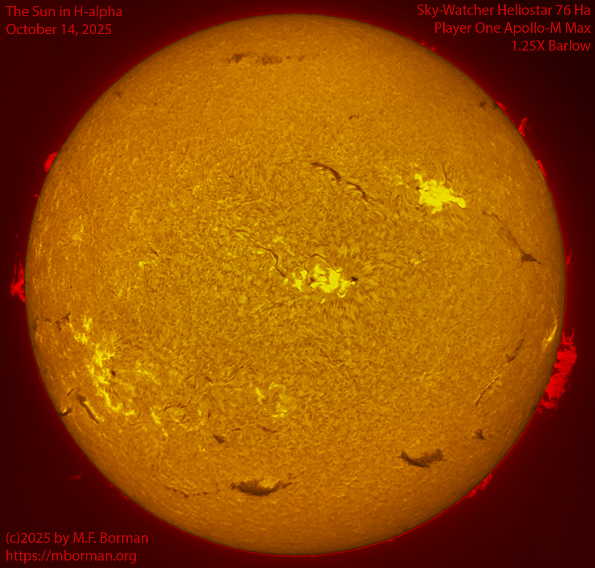 Solar image in h-alpha 10/14/25