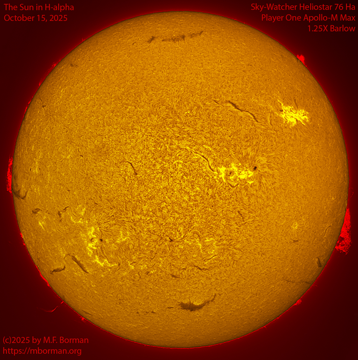 Solar image in h-alpha 10/15/25