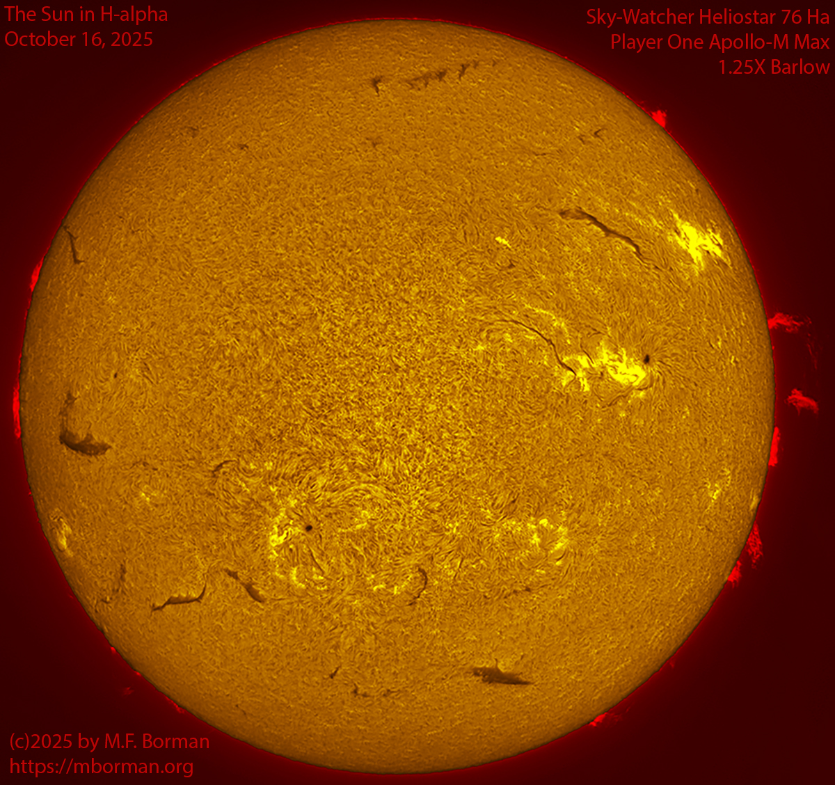 Solar image in h-alpha 10/16/25