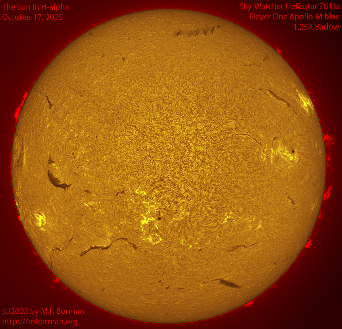 Solar image in h-alpha 10/17/25