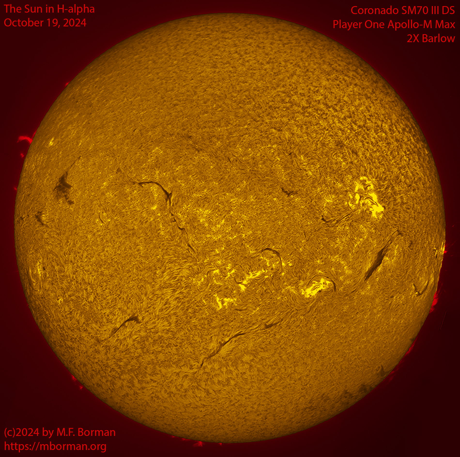 Solar image in h-alpha 10/19/24