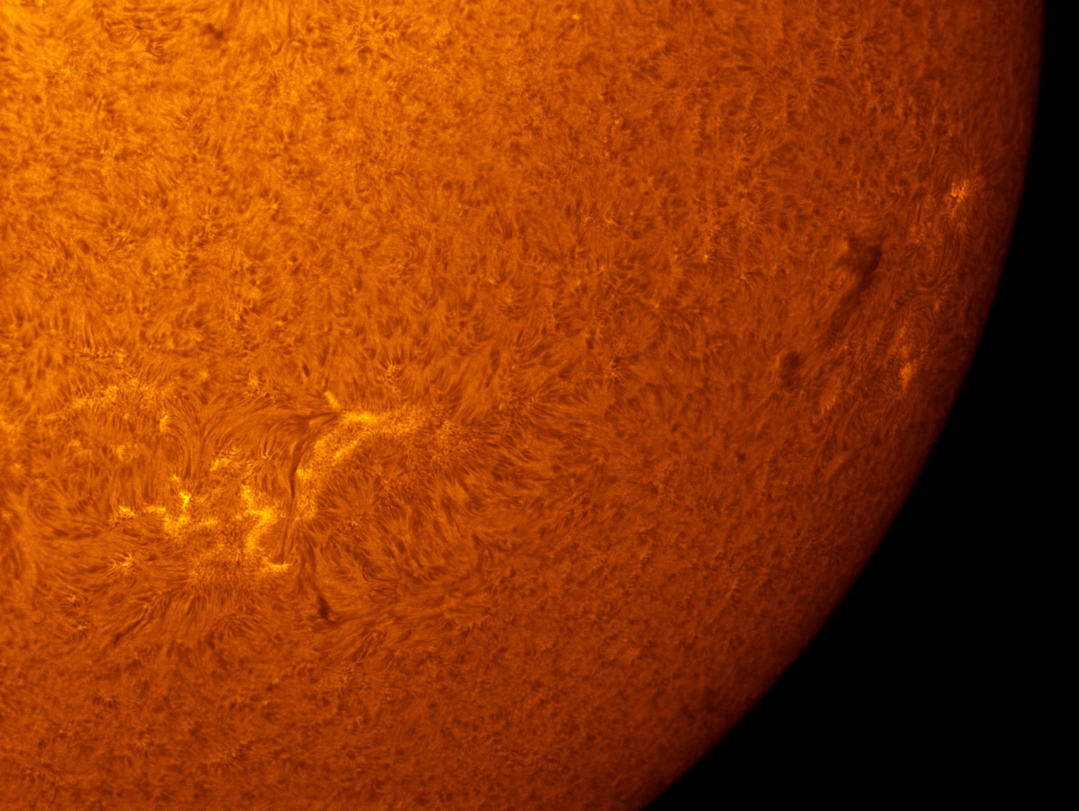 Sunspots 1590 and 1594 in h-alpha 10/21/2012