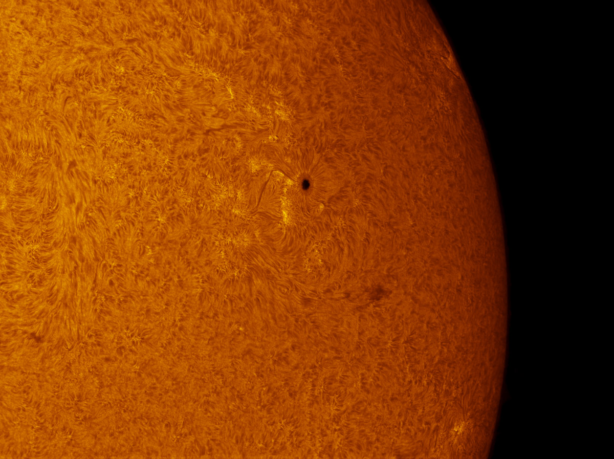 Sunspot 1591 in h-alpha 10/21/2012