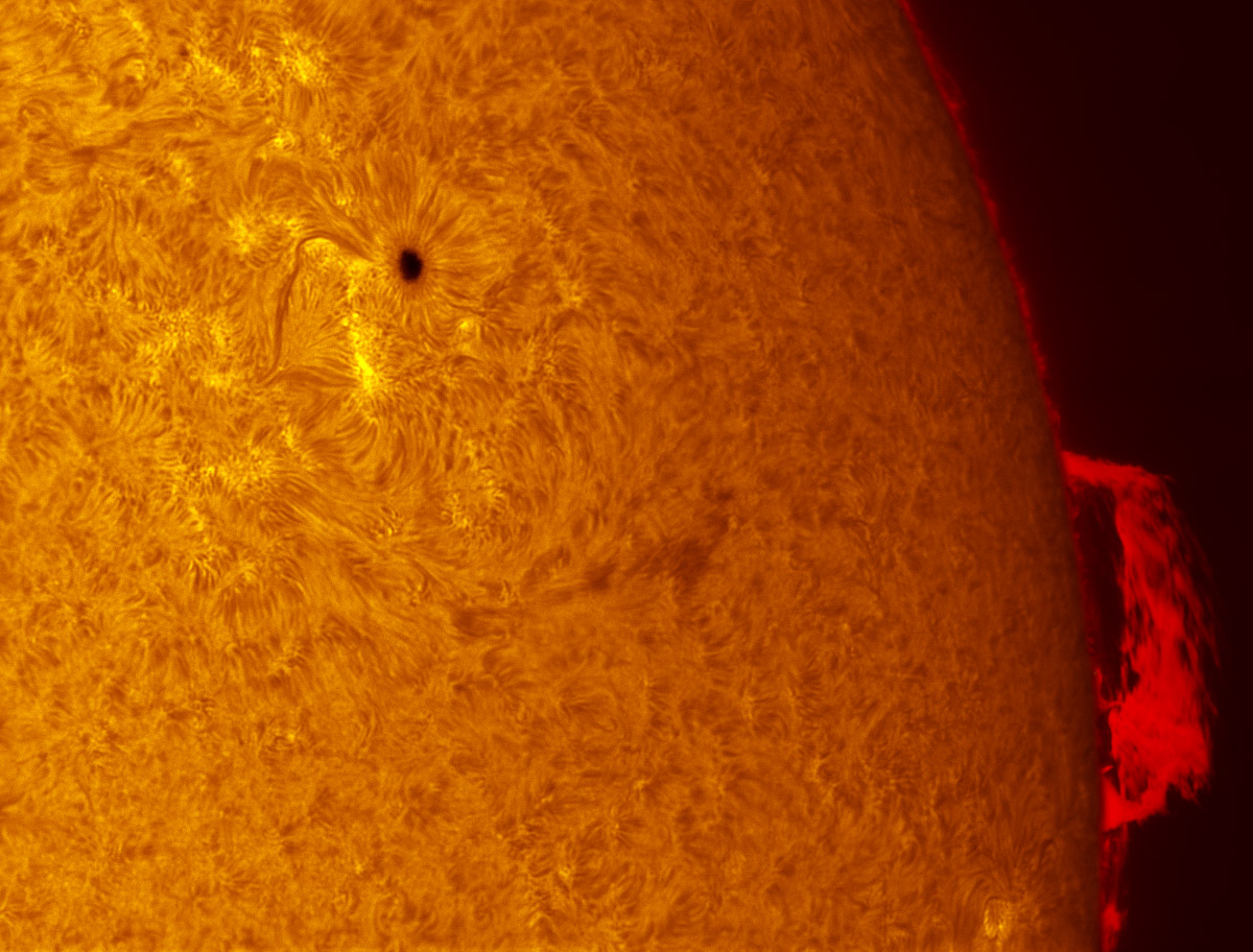 Sunspot 1591 and a large prominence in h-alpha 10/21/2012