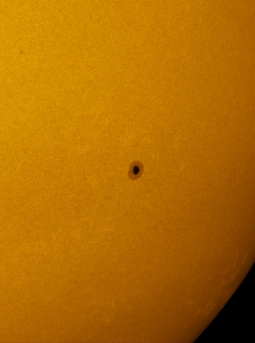 Sunspot 1591 in white light 10/21/2012