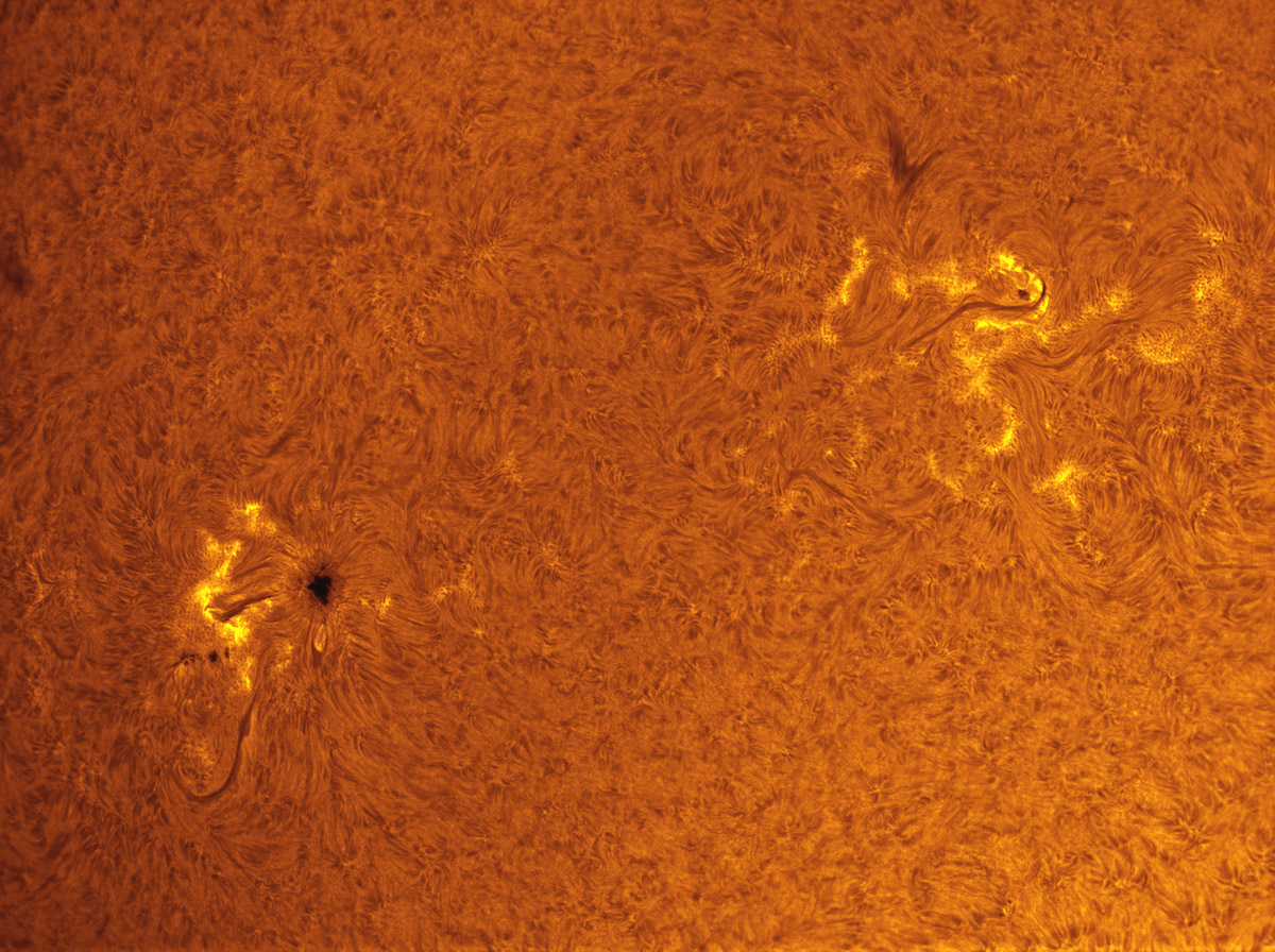 Sunspots 1593 and 1596 in h-alpha 10/21/2012