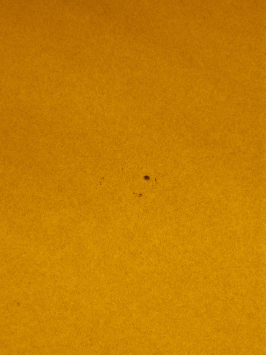 Sunspot 1593 in white light 10/21/2012
