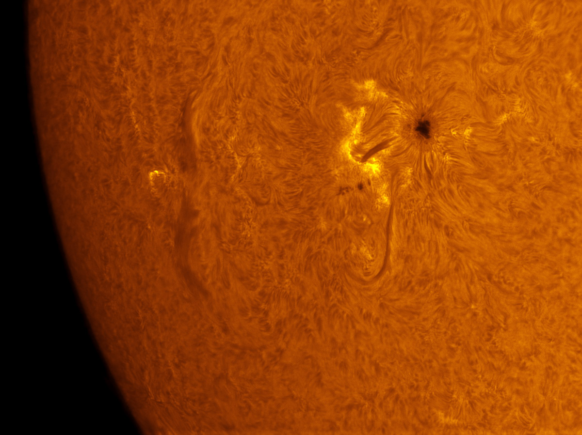 Sunspots 1596 in h-alpha 10/21/2012