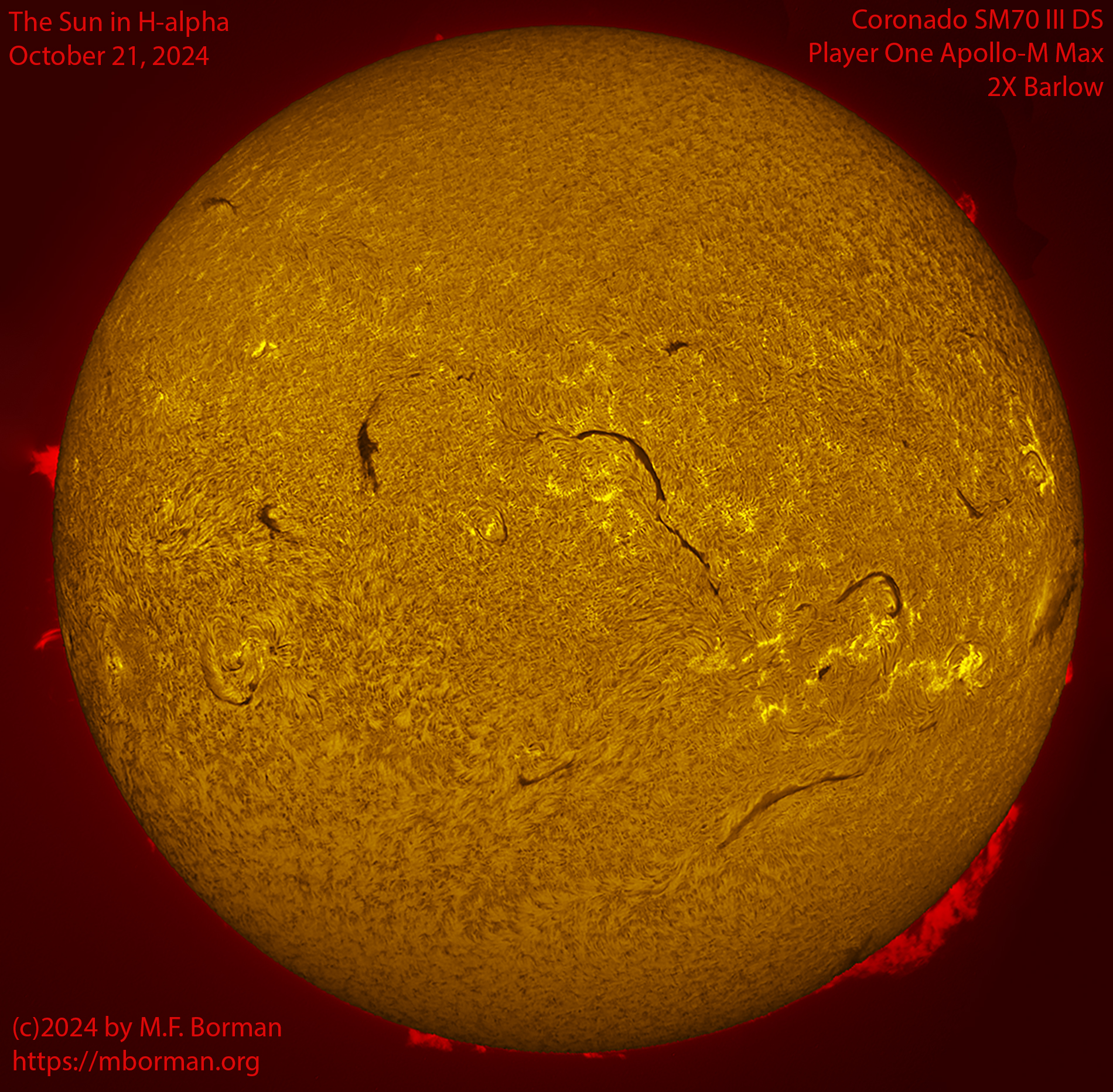 Solar image in h-alpha 10/21/24
