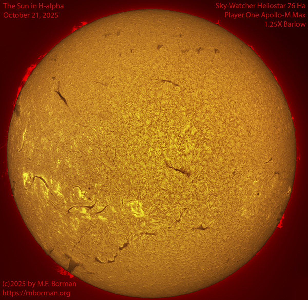 Solar image in h-alpha 10/21/25