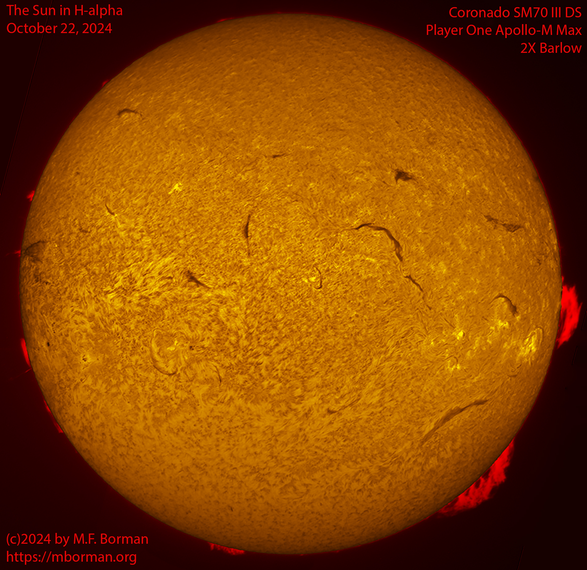 Solar image in h-alpha 10/22/24