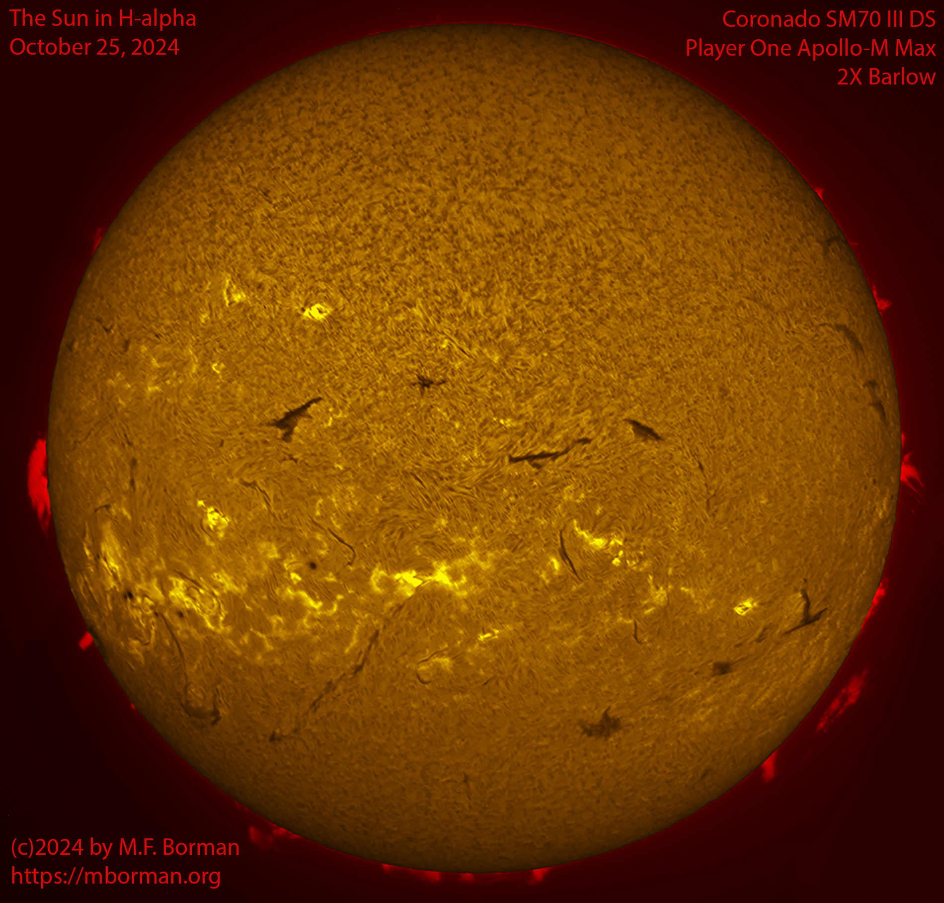 Solar image in h-alpha 10/25/24