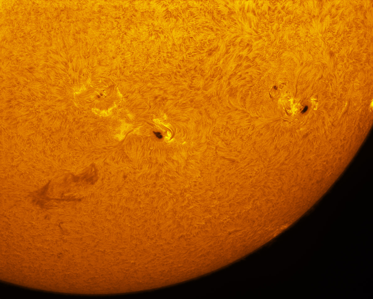 Sunspots 1875, 1877, and 1879 in h-alpha 10/26/2013