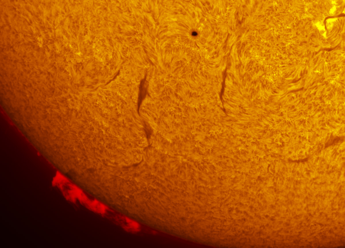 Sunspot 1599 and a large prominence in h-alpha 10/27/2012