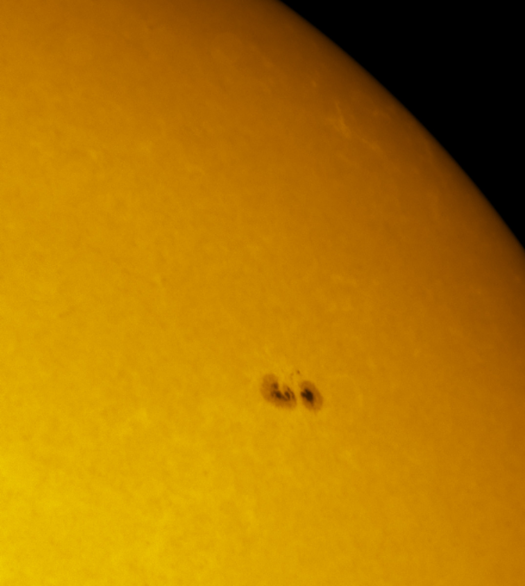 Sunspot 1596 in white light 10/27/2012