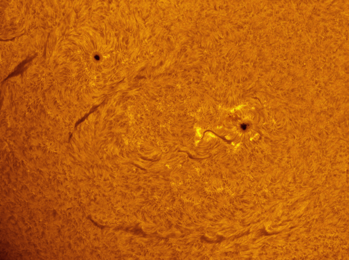 Sunspots 1598 and 1599 in h-alpha 10/27/2012