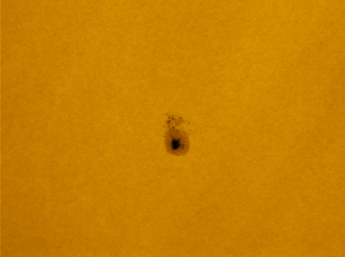 Sunspot 1598 in white light 10/27/2012