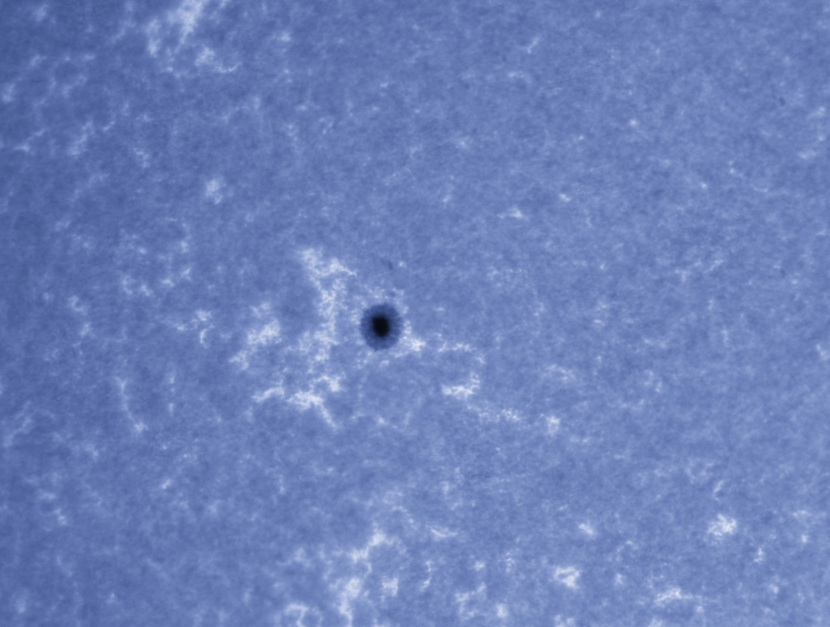 Sunspot 1599 in CaK 10/27/2012