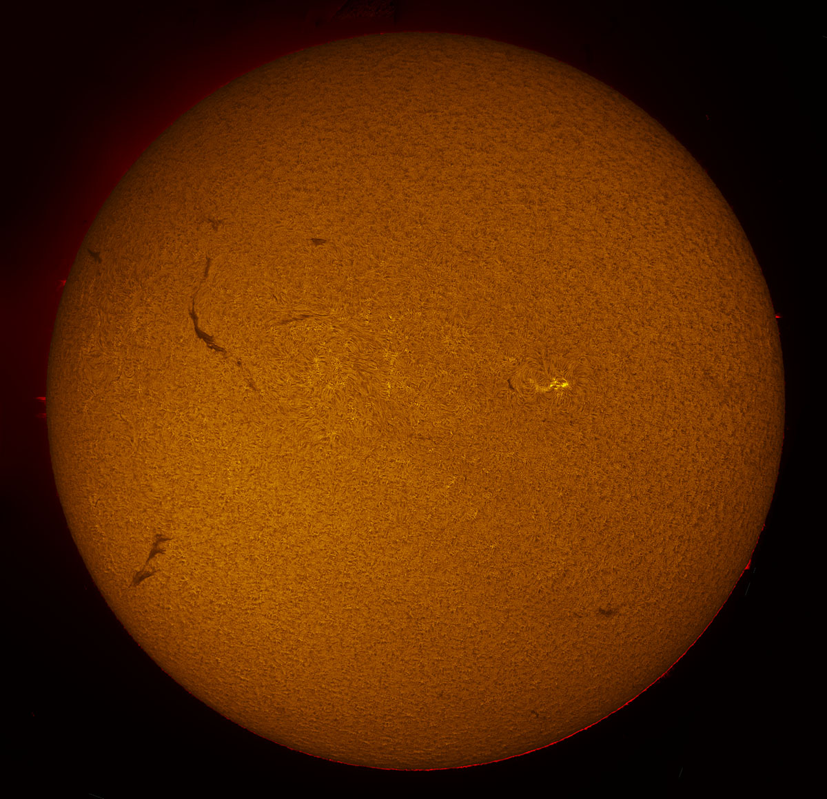 Solar Disk in h-alpha 10/29/2016