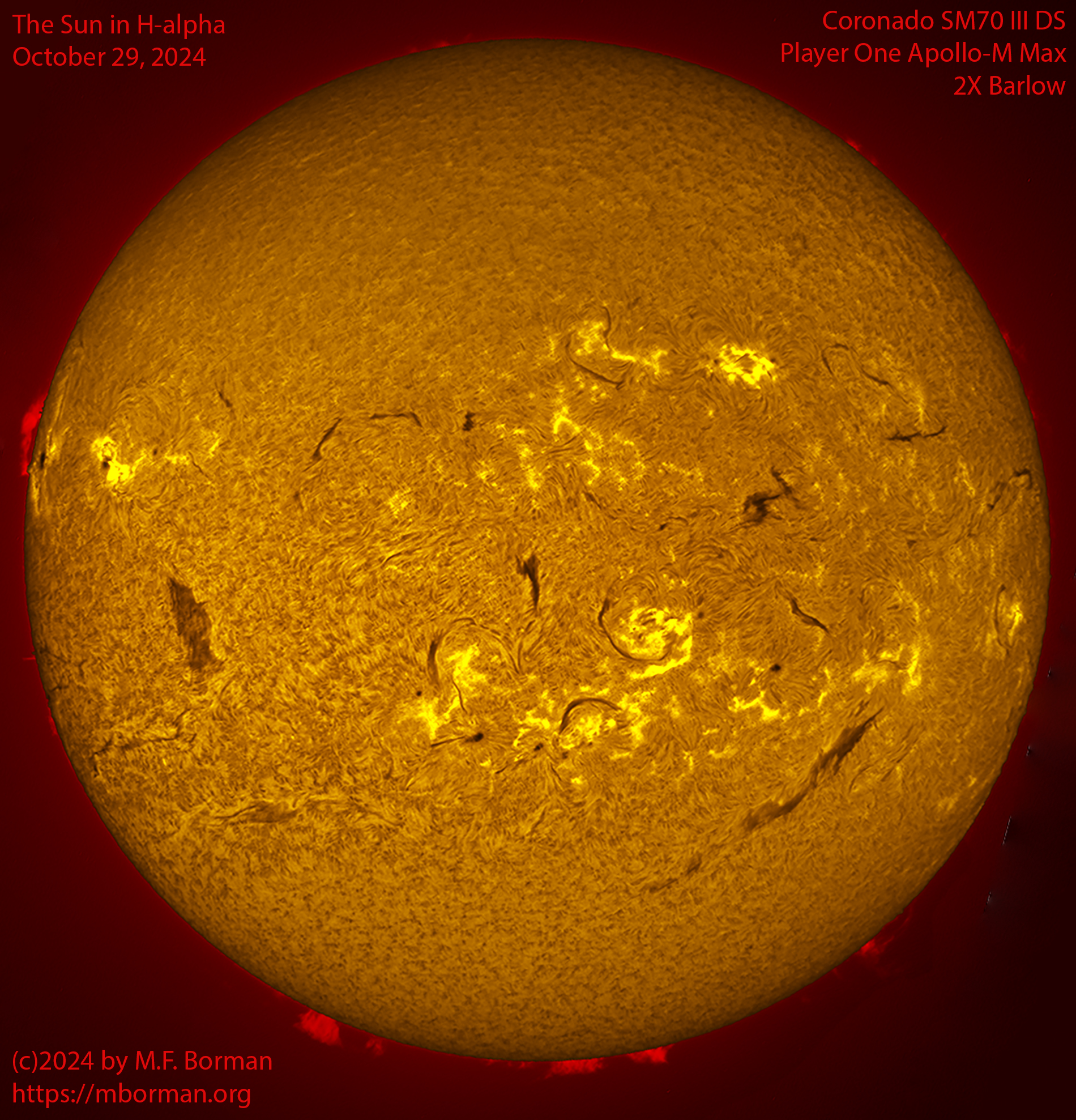Solar image in h-alpha 10/29/24