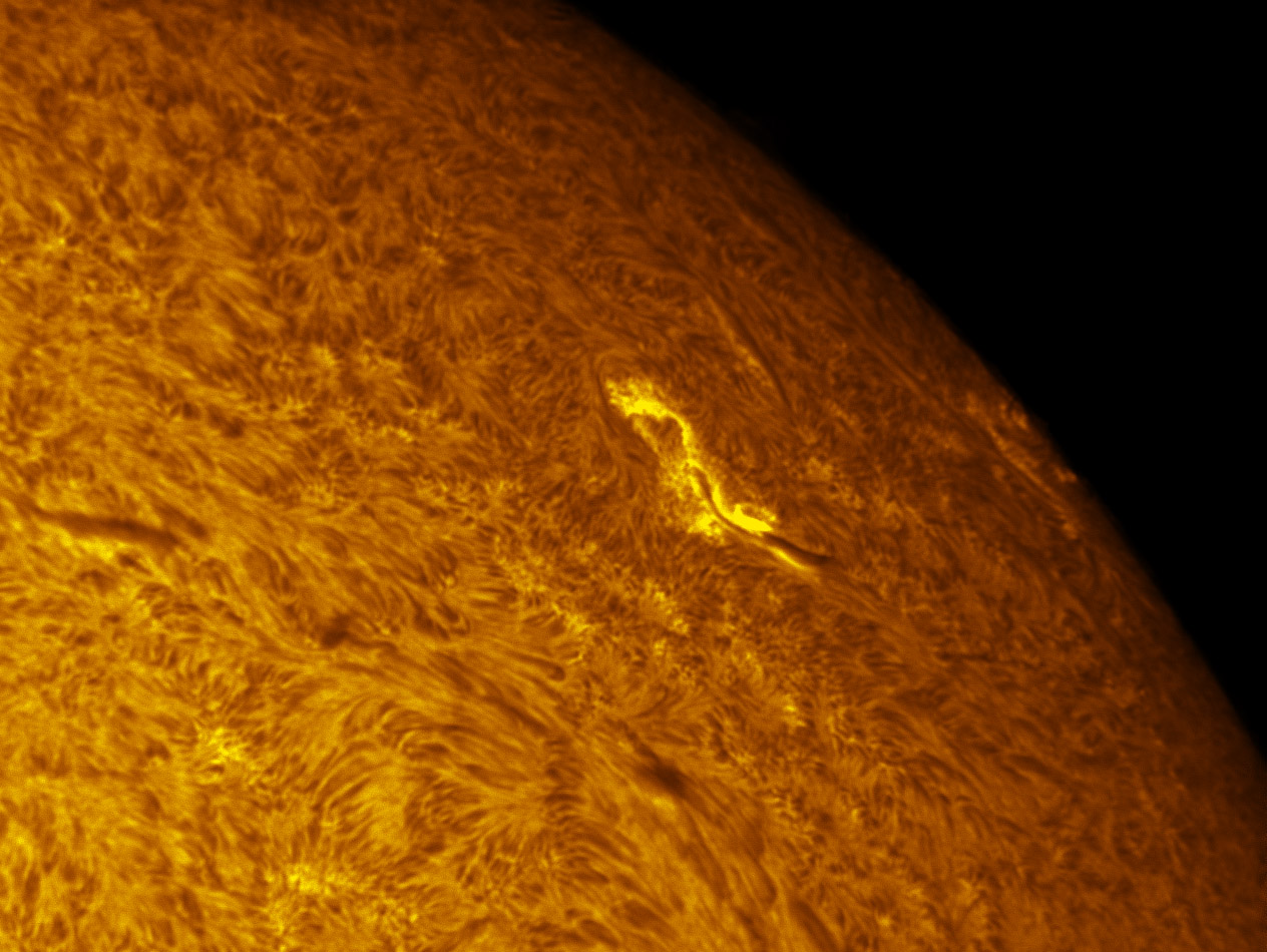 Sunspot 1325 in h-alpha 10/30/2011