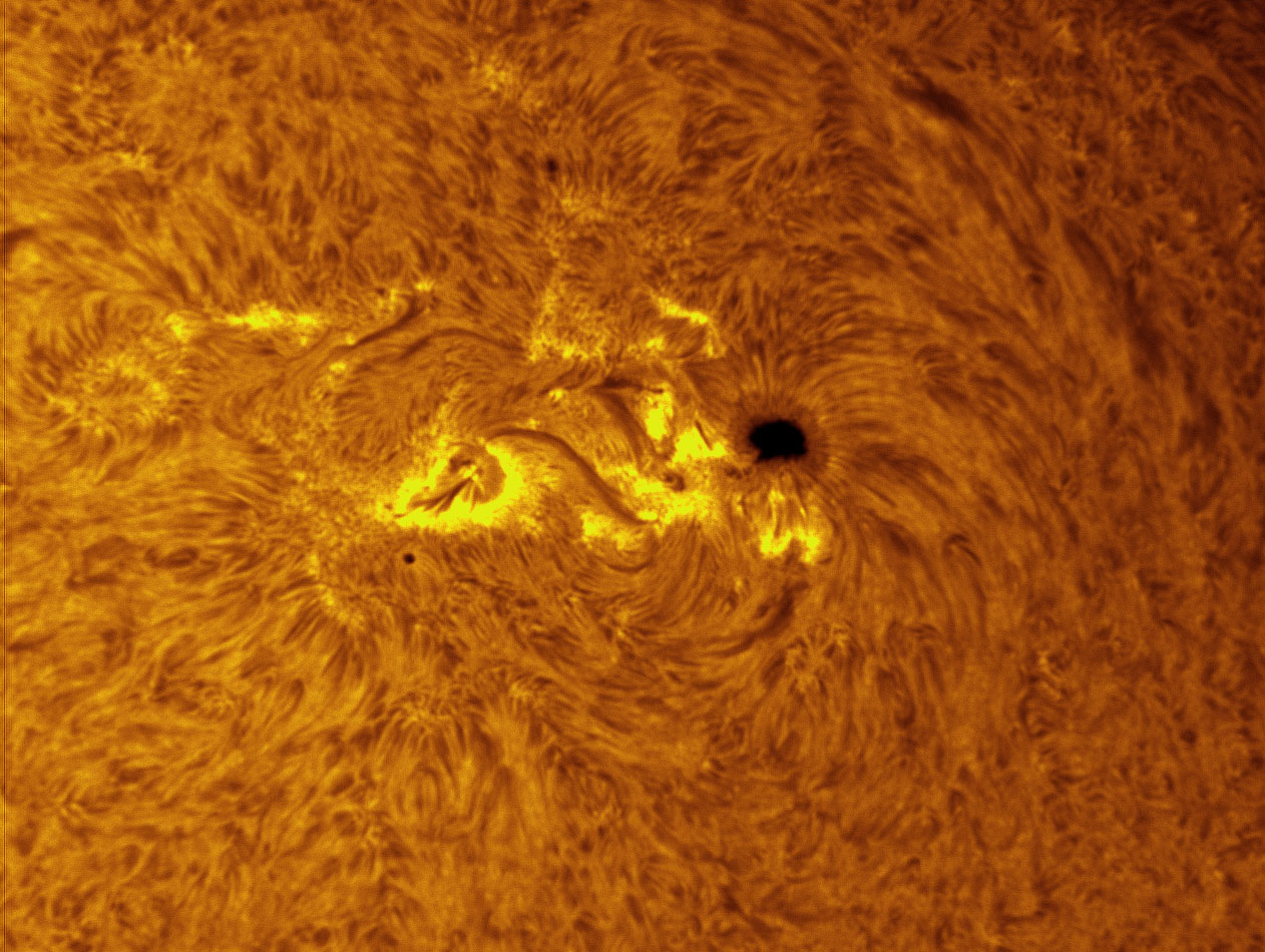Sunspot 1330 in h-alpha 10/30/2011