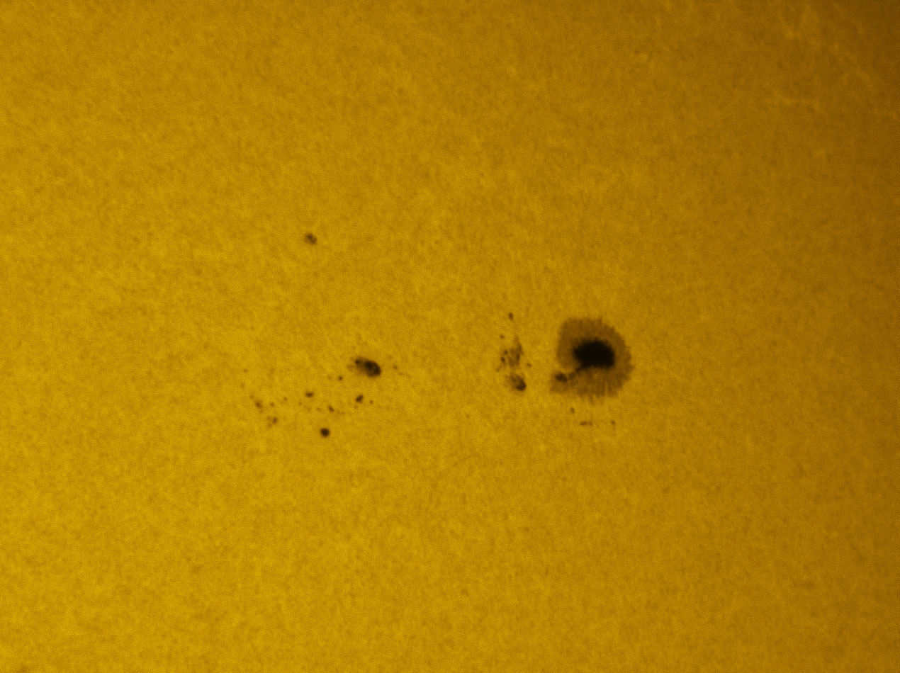 Sunspot 1330 in white light 10/30/2011
