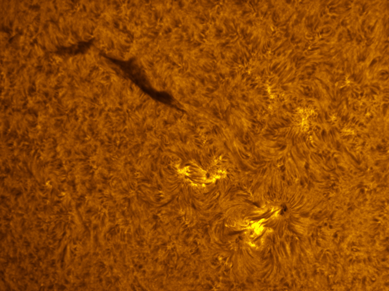 New Sunspot in h-alpha 10/30/2011