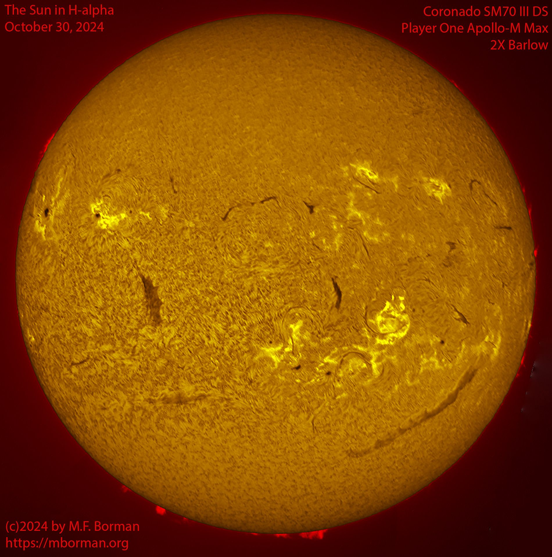 Solar image in h-alpha 10/30/24