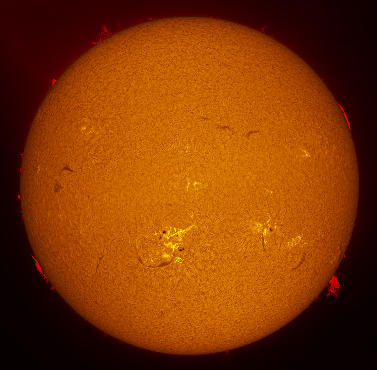 Solar Disk in h-alpha 11/01/2013