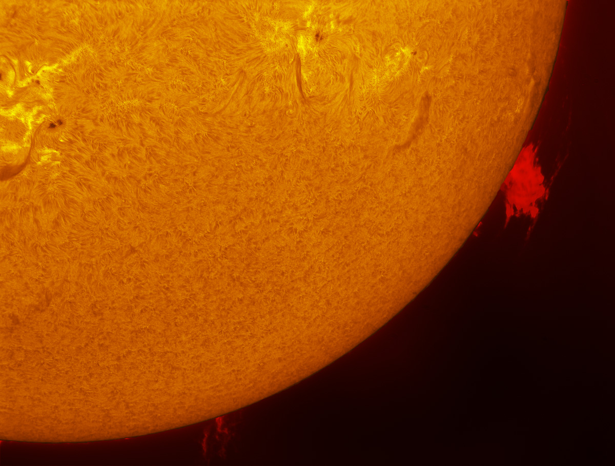 Solar prominence in h-alpha 11/01/2013