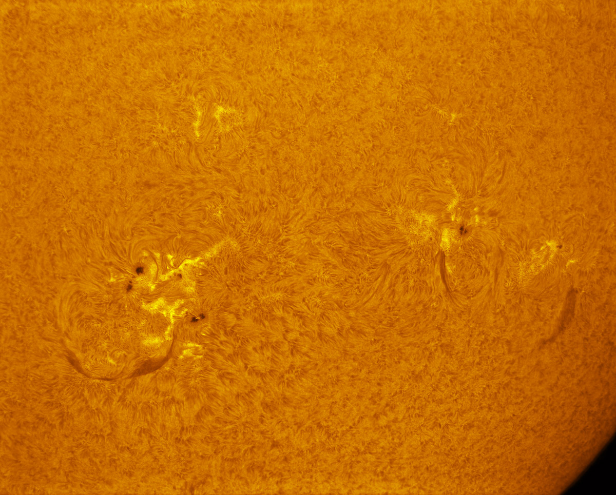 Sunspots 1882, 1884, 1885 and 1888 in h-alpha 11/01/2013